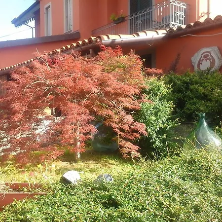 Panzió Palmira Vistrorio